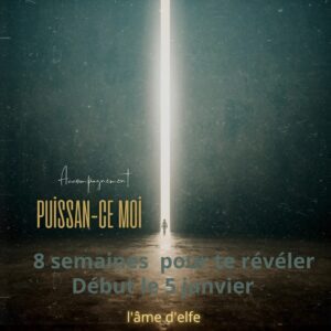 Accompagnement Puissance moi