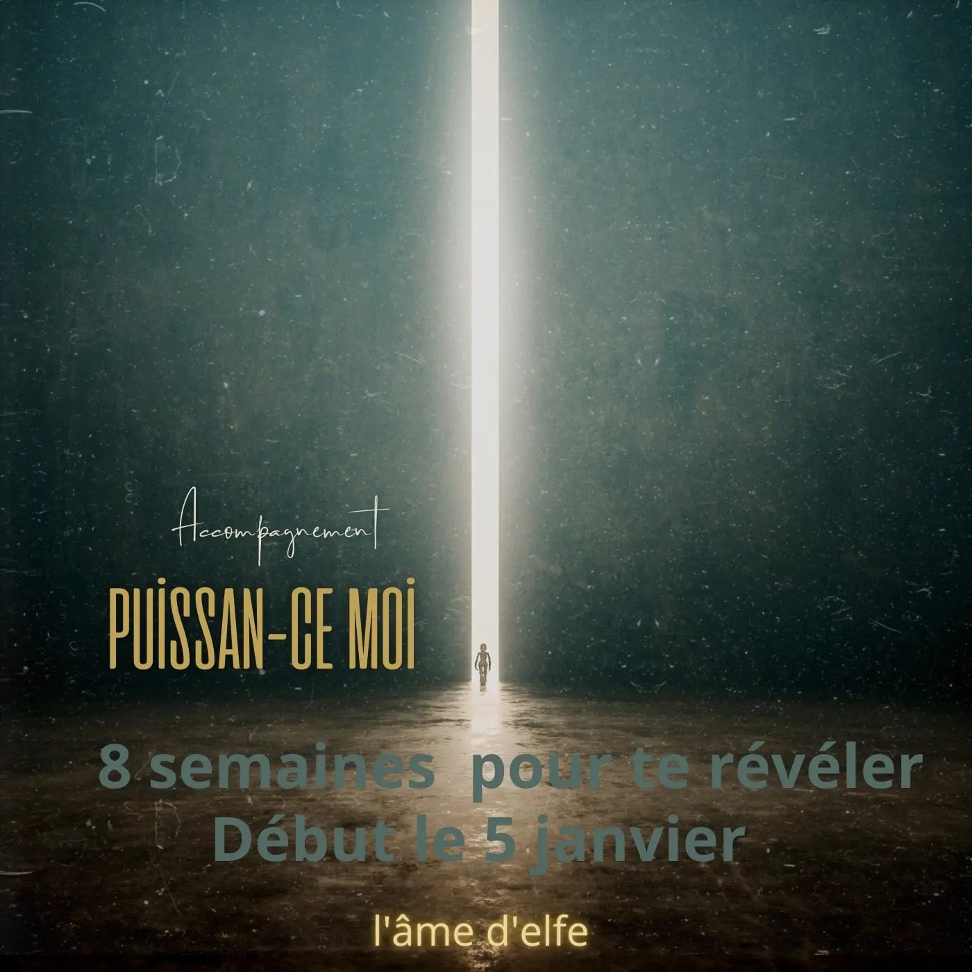 Accompagnement Puissance moi Accompagnement Puissance moi
